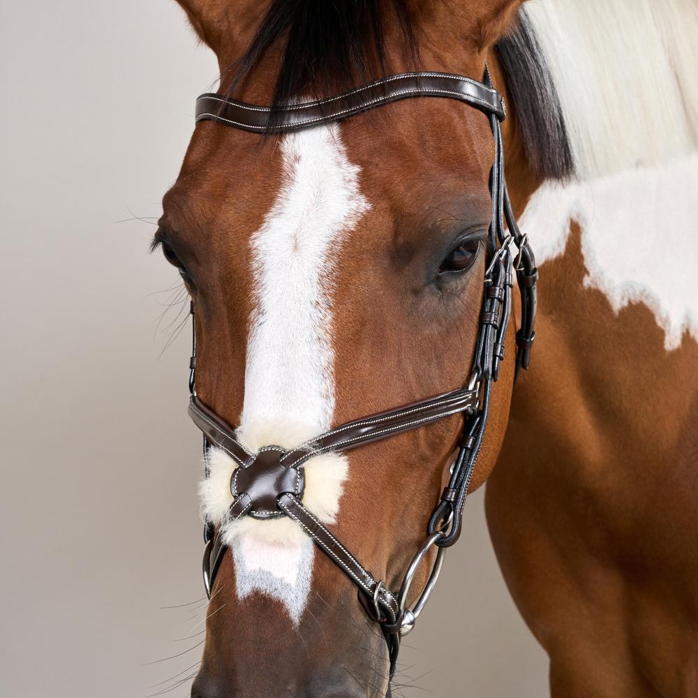 Figure 8 Noseband Bridle WO | Dy'on | Comfort — Image 12