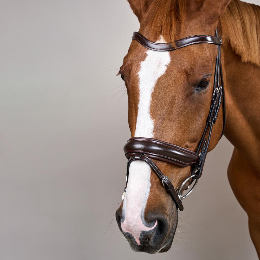 Matte Large Crank Noseband Bridle With Flash WO | Dy'on | Comfort — Image 10