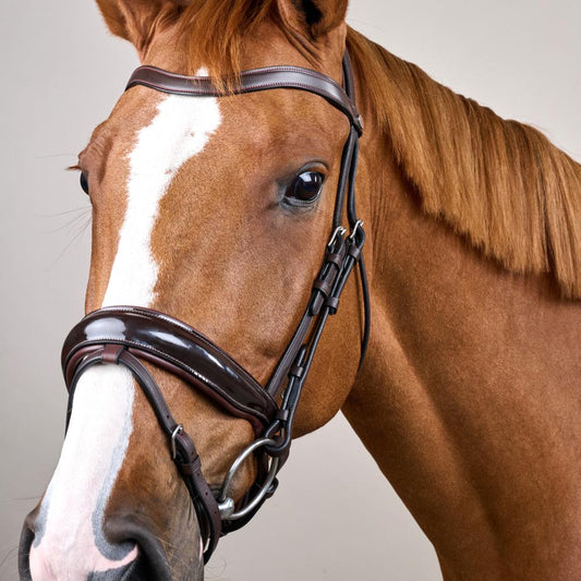 Patent Large Crank Noseband Bridle With Flash WO | Dy'on | Comfort — Image 2