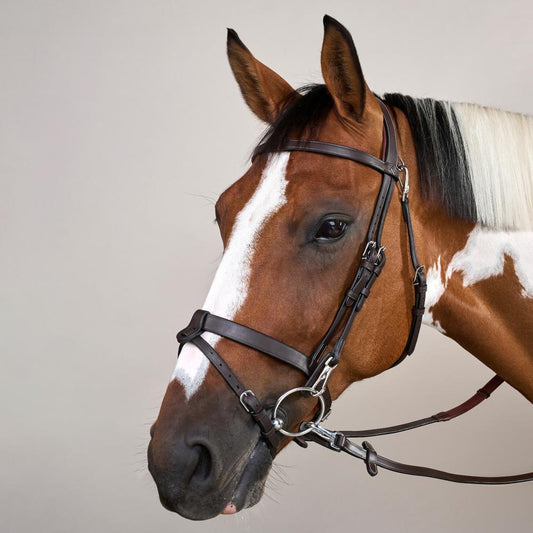Flat Leather Bridle With Snap Hooks WO | Dy'on | Versatile — Image 2