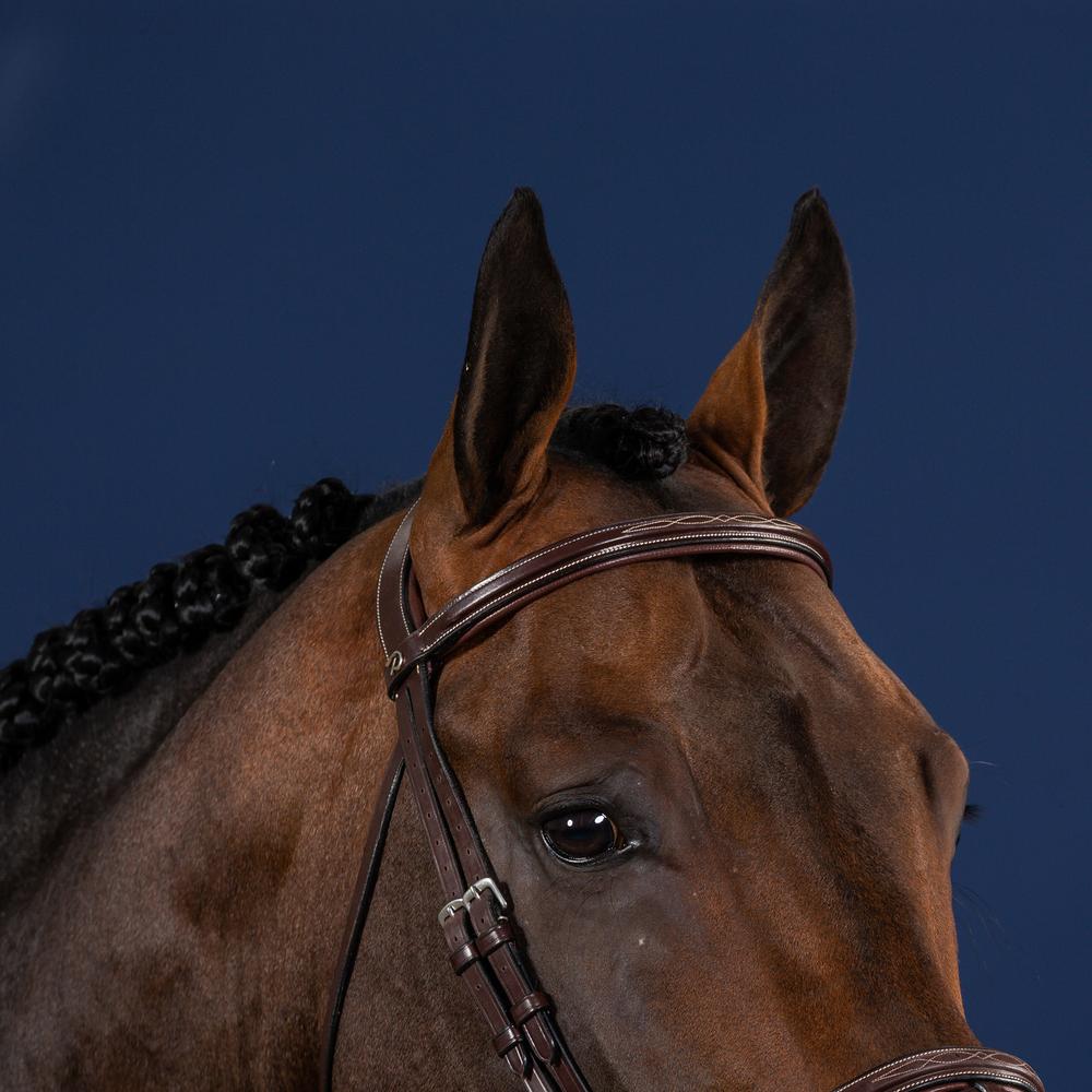 Straight Browband | Dy'on | QualityLeather — Image 3
