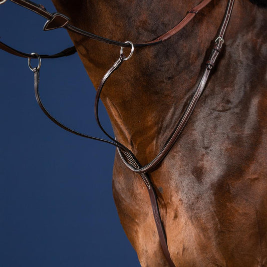 Running Martingale | Dy'on | elegantdesign — Image 2