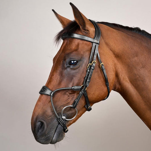 Elastic Hybrid Noseband Bridle DY | | Durable — Image 2