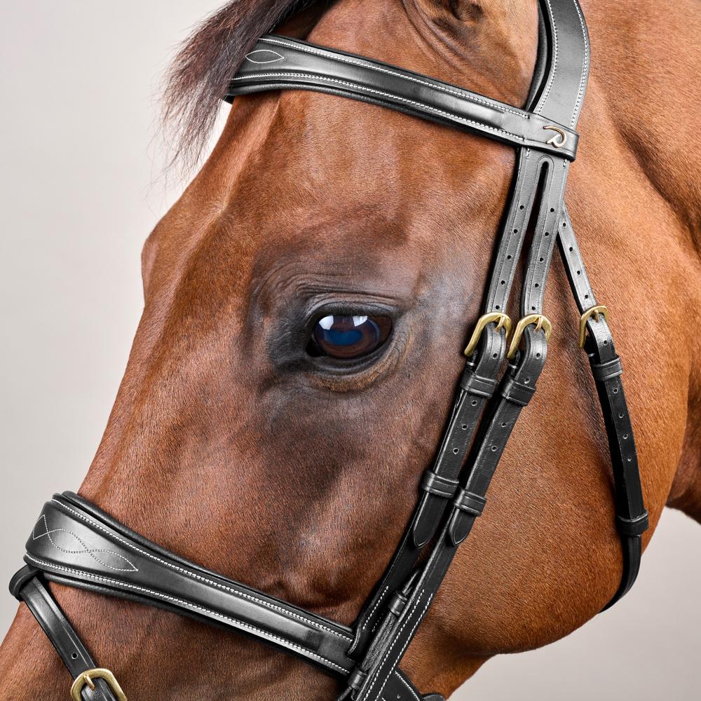Anatomic Flash Noseband Bridle DY | Dy'on | luxuriousleather — Image 10