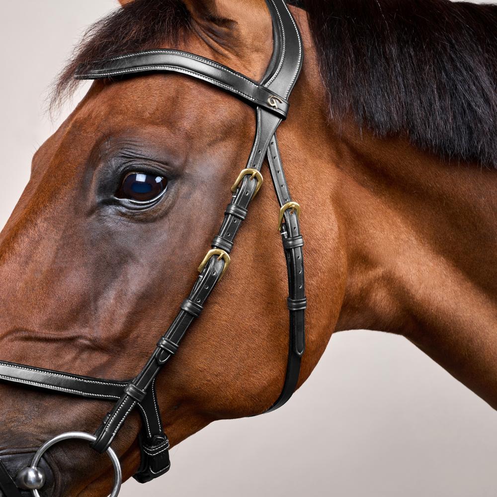 X-Fit Bridle DY | Dy'on | PremiumLeather — Image 8