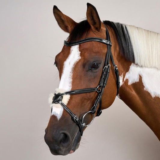 Figure 8 Noseband Bridle WO | Dy'on | Comfort — Image 2