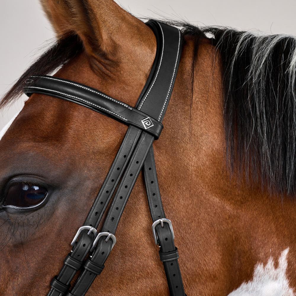 Flash Noseband Bridle with Snap Cheekpieces WO | Dy'on | Durable — Image 10