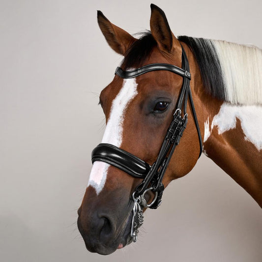 Matte Large Crank Noseband Double Bridle | Dy'on | Comfort — Image 2