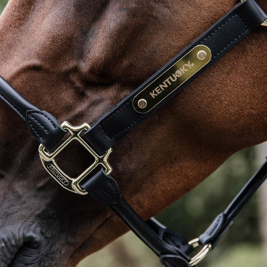 Name Plate Logo Halter | Kentucky Horsewear | Personalisation — Image 2