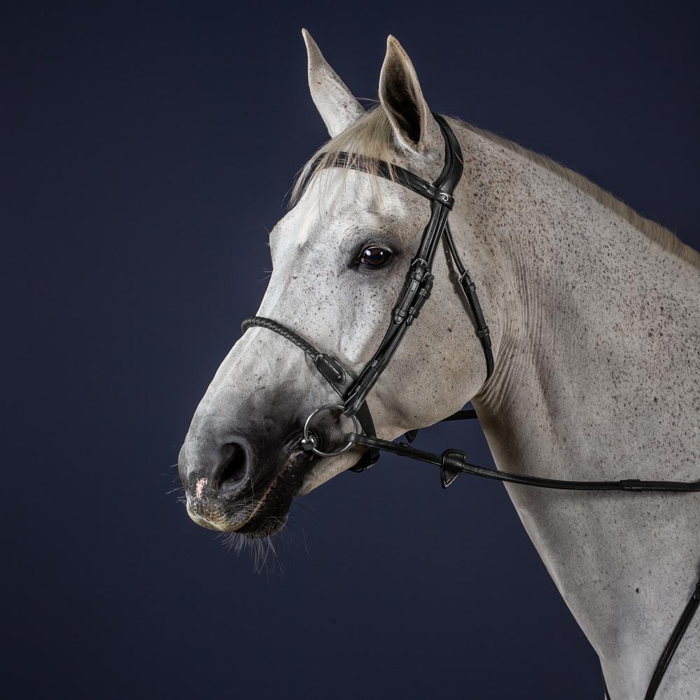 Leather Covered Rope Noseband Bridle NE | Dy'on | Durability — Image 4