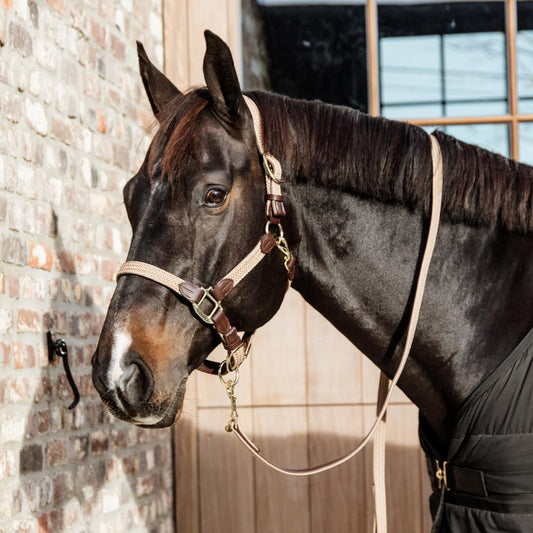 Plaited Nylon Halter | Kentucky Horsewear | Durable — Image 2
