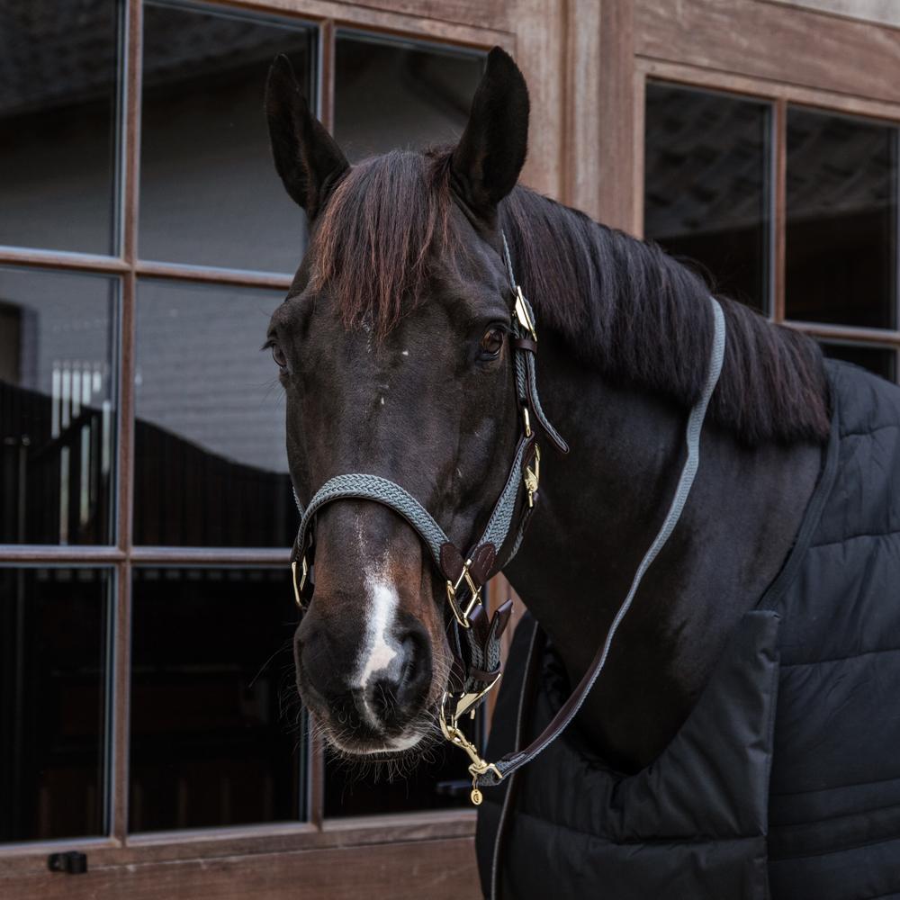 Plaited Nylon Horse Lead | Kentucky Horsewear | Durable — Image 20