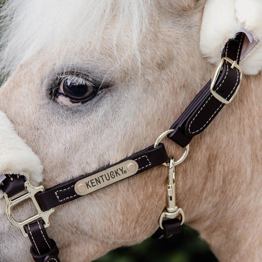 Leather Halter Sheepskin | Kentucky Horsewear | Comfort — Image 2
