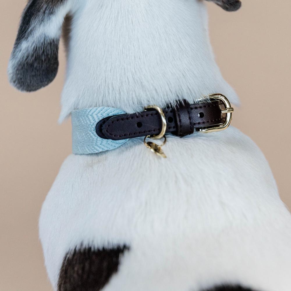Dog Collar Jacquard | Kentucky Dogwear | Stylish — Image 20