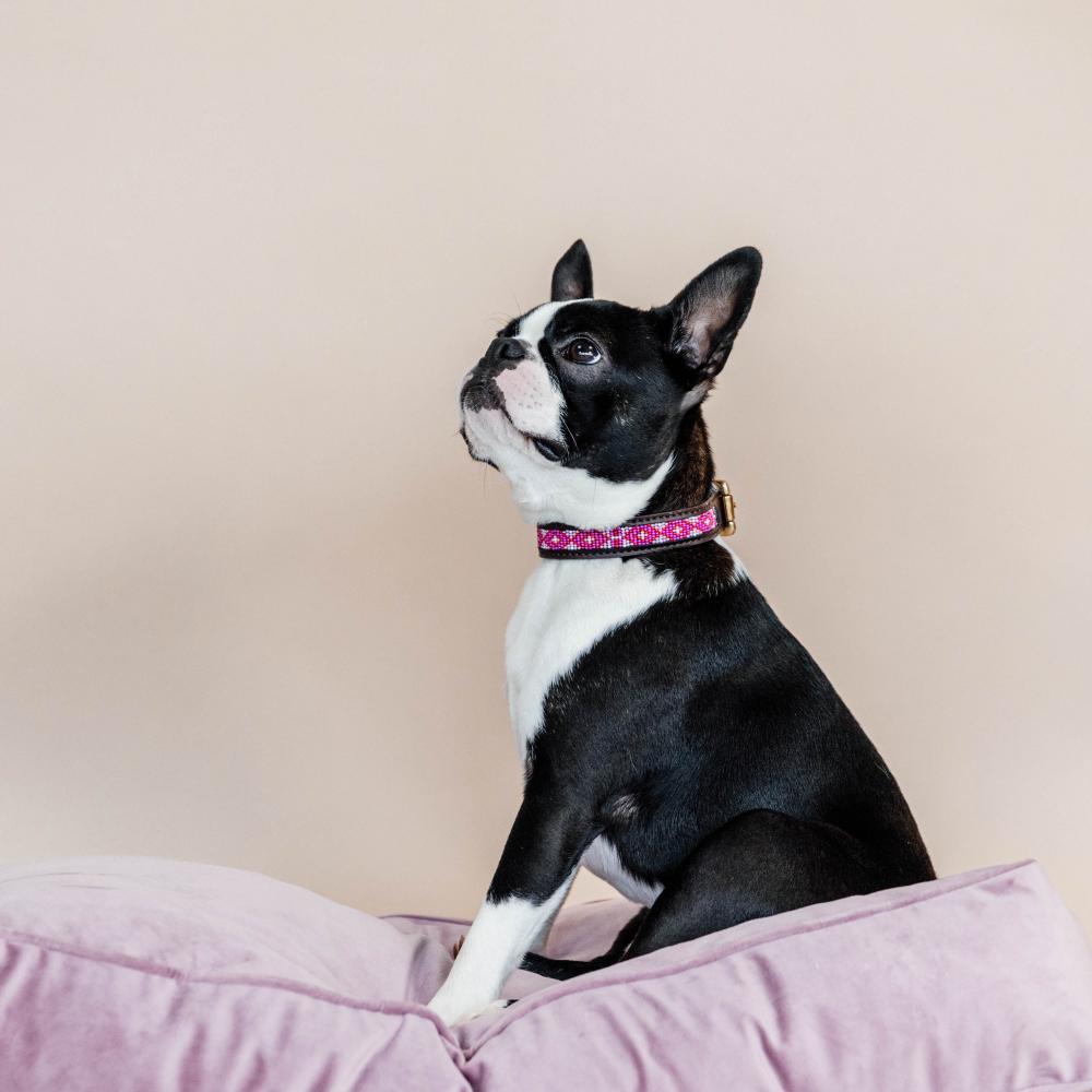 Dog Collar Handmade Pearls | Kentucky Dogwear | Stylish — Image 15