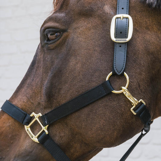 Nylon Halter Breakaway | Kentucky Horsewear | safety — Image 2