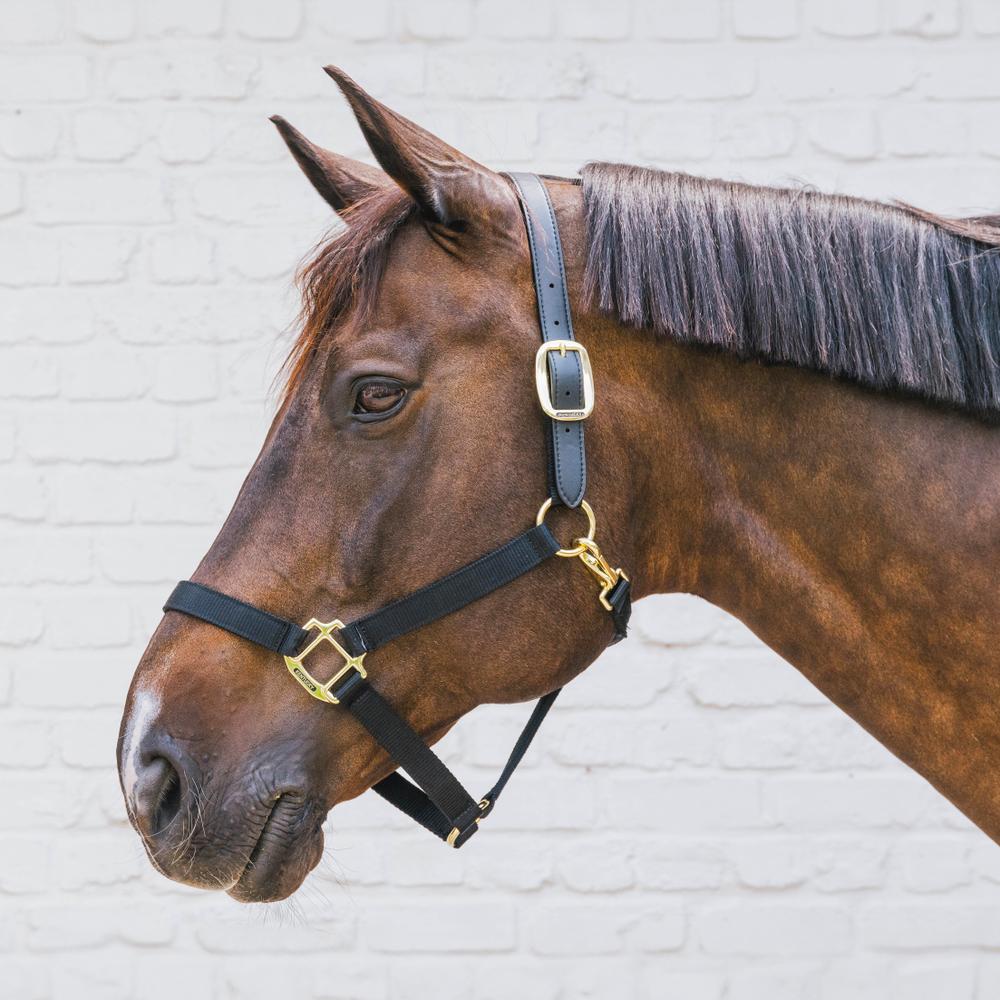 Nylon Halter Breakaway Neck Piece | Kentucky Horsewear | safety — Image 4