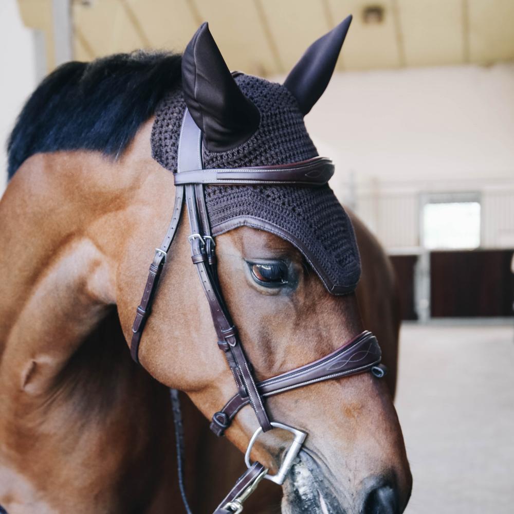 Fly Veil Wellington Leather | Kentucky Horsewear | Durability — Image 16