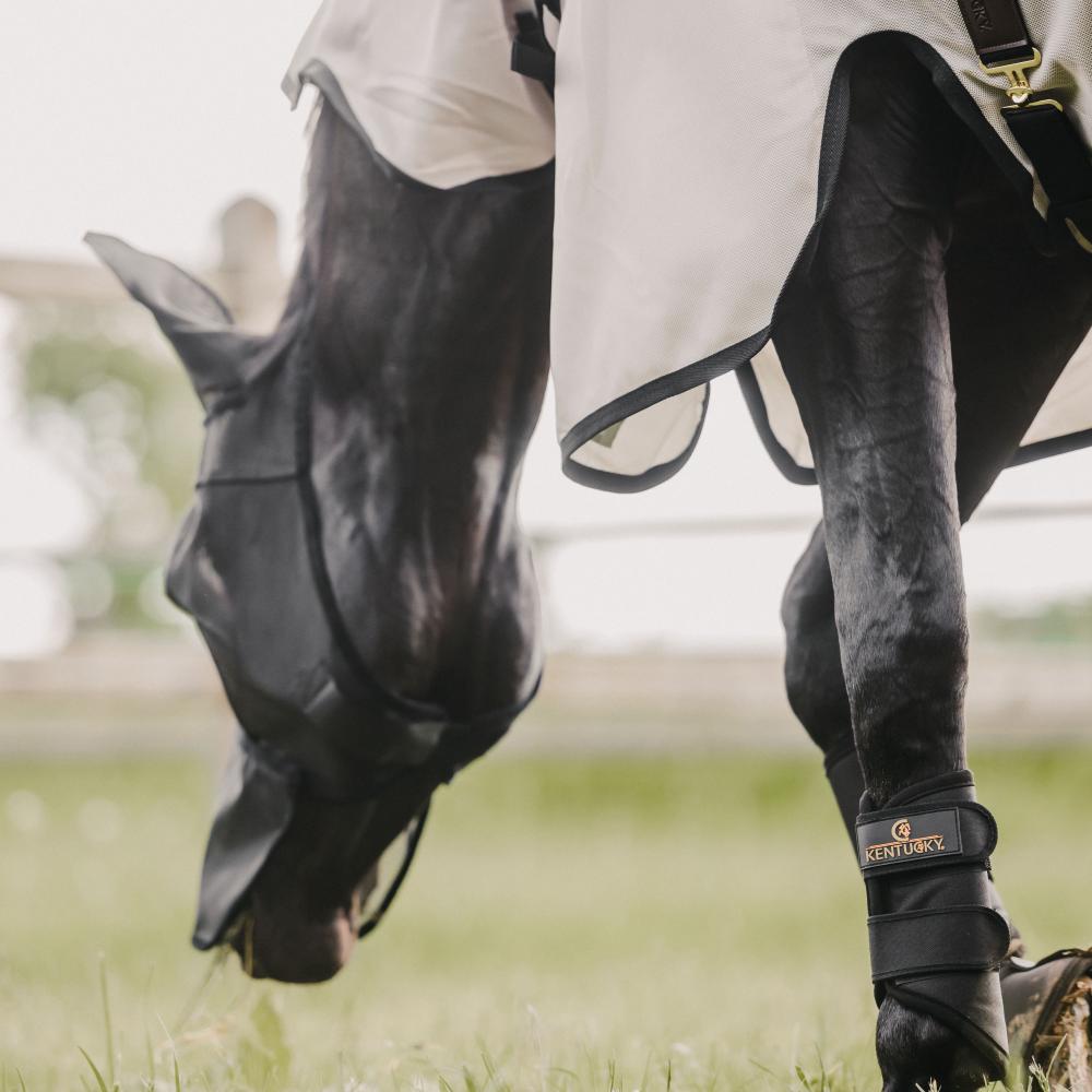 Fly Mask Classic with ears & nose | Kentucky Horsewear | UV-Protective — Image 15