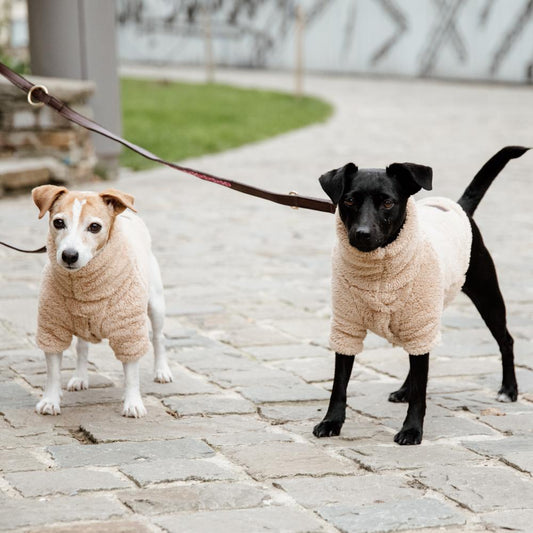 Dog Sweater Teddy Fleece | Kentucky Dogwear | Warmth — Image 2