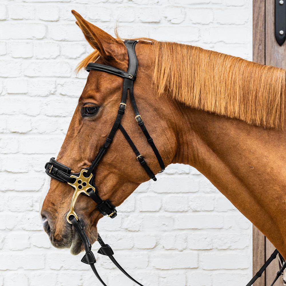 Hackamore Bridle DY | Dy'on | Comfort — Image 4