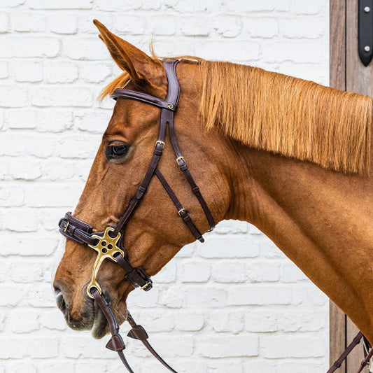 Hackamore Bridle DY | Dy'on | Comfort — Image 2
