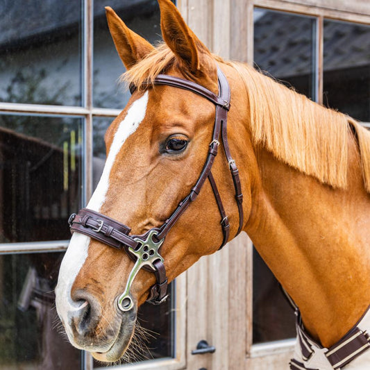 Hackamore NE | Dy'on | Durable — Image 2