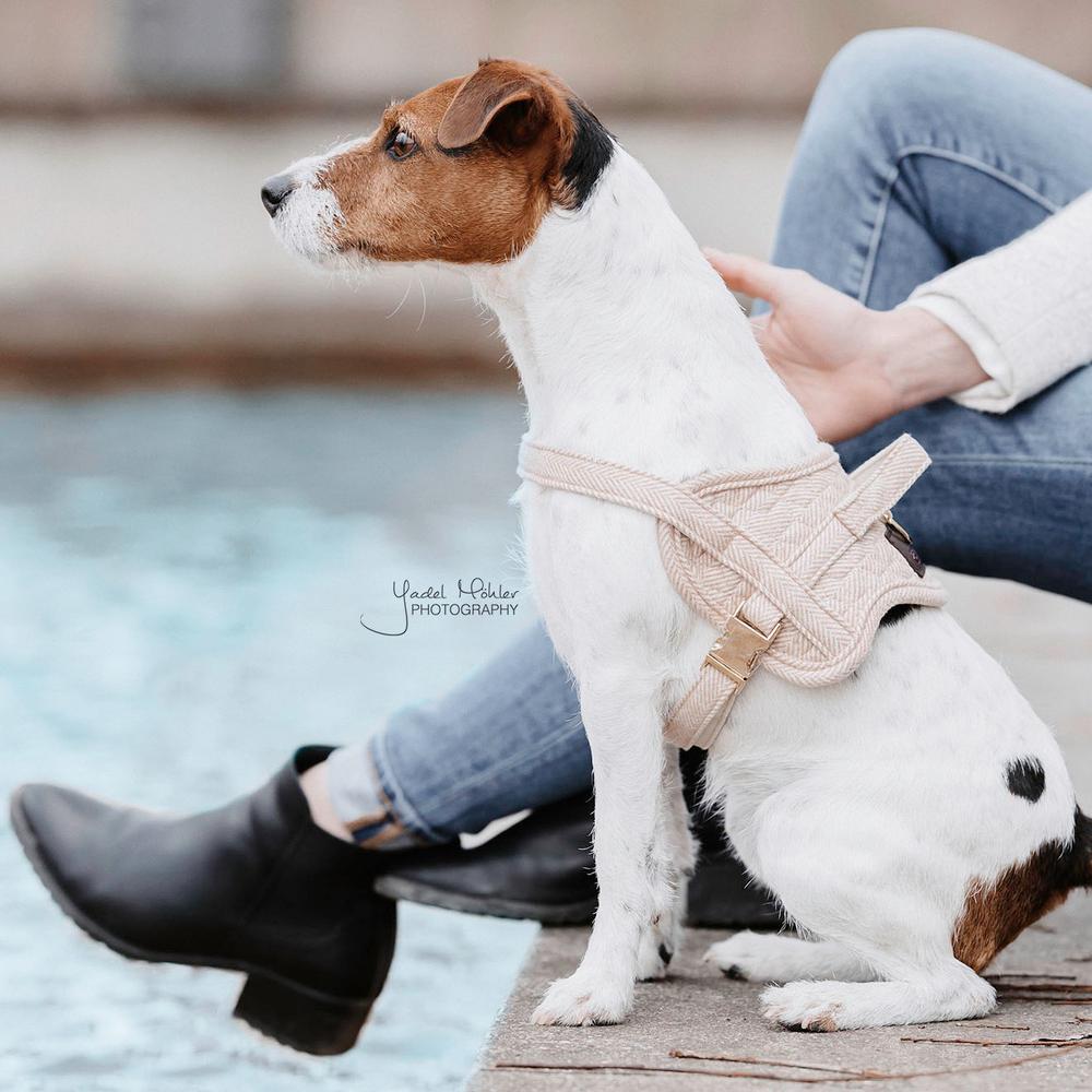 Dog Harness Body Safe Wool | Kentucky Dogwear | Comfort — Image 16