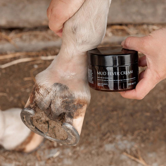 GD Mud Fever Cream Plus | Grooming Deluxe | Grooming — Image 2