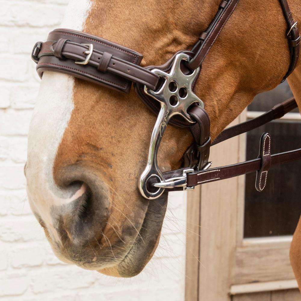 5/8 Rubber Reins with Leather Loops and Snap | Dy'on | — Image 10