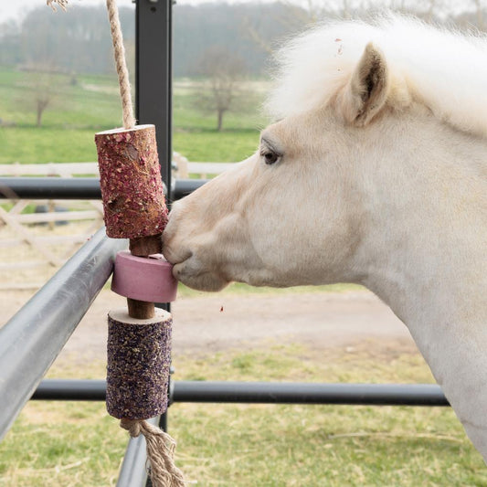 Wooden Relax Horse Toy with Salt Lick | Grooming Deluxe | Comfort — Image 2