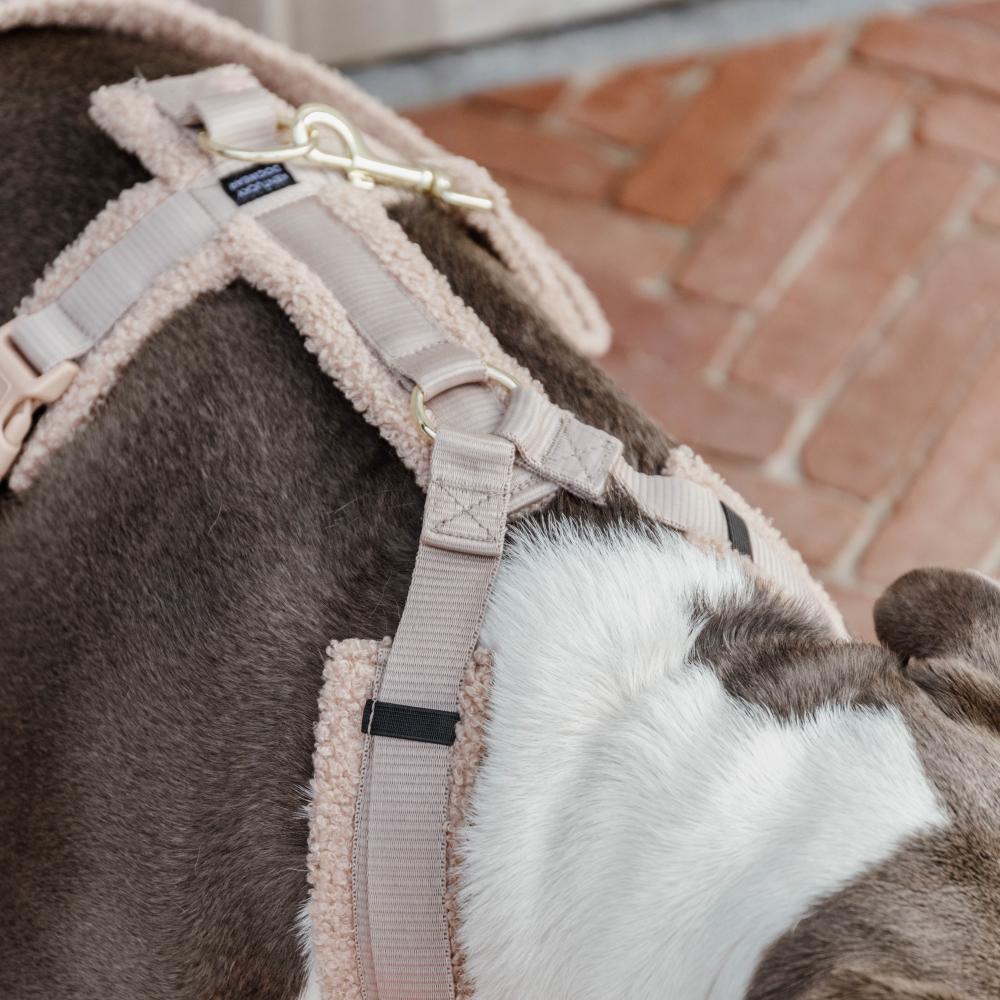 Dog Harness Active Teddy Fleece | Kentucky Dogwear | Comfort — Image 5