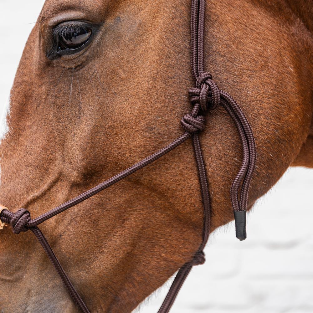 Rope Halter | Kentucky Horsewear | Durability — Image 12
