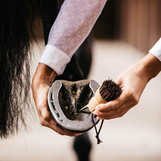 Hoof Pick Small | Grooming Deluxe | durable — Image 3