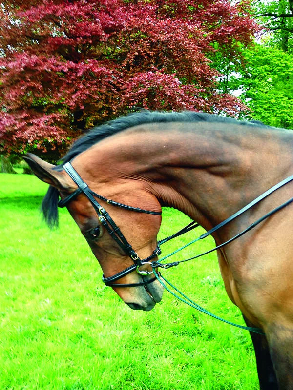 Boomerang Equestrian - Celtic Equine Draw Reins Dark Green Rope