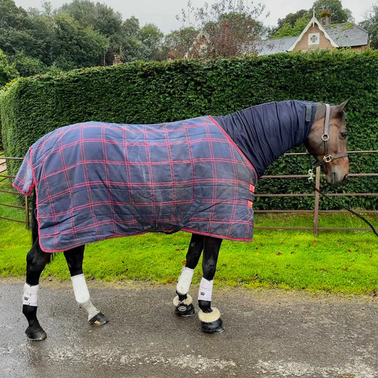 Boomerang Equestrian - Snuggy Hoods Headless Turnout Hood Pull On Navy