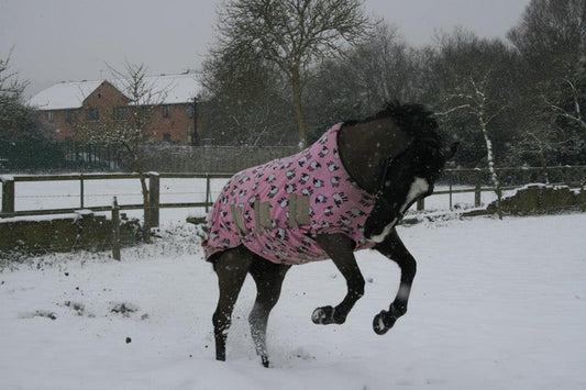 Boomerang Equestrian - Snuggy Hoods Jams Fleece Rug Pink Sheep