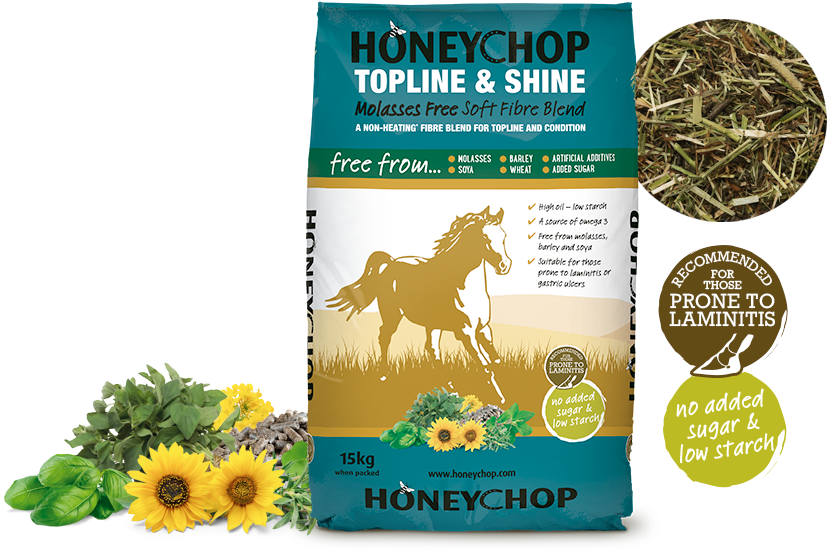 Boomerang Equestrian - Honeychop Topline & Shine