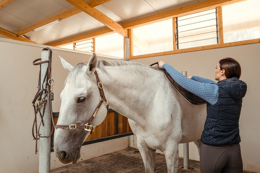 Person preparing a white horse for riding in a stable.