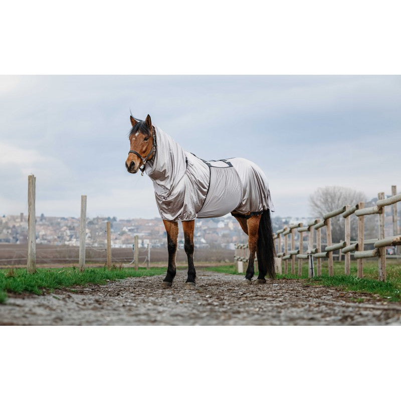 Horse wearing a gray fly sheet standing on a dirt path with a wooden fence and buildings in the background.