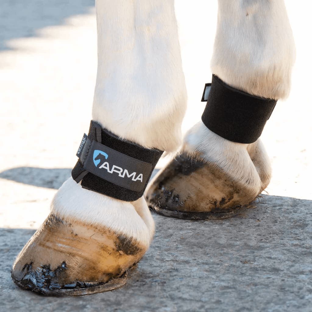 Boomerang Equestrian - Shires Arma Pastern Wraps Black One Size