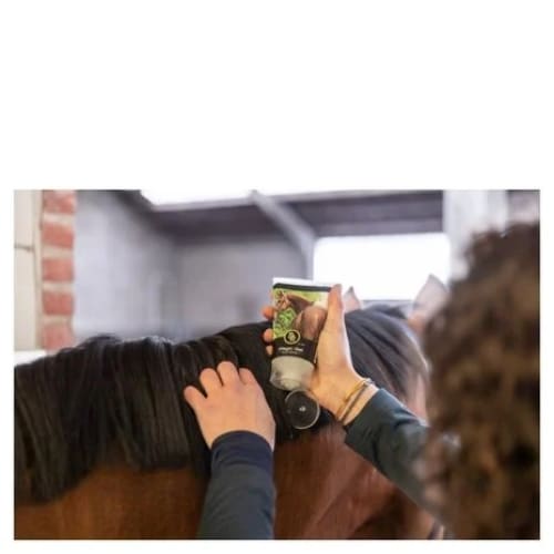 Boomerang Equestrian - BR Magic Gel