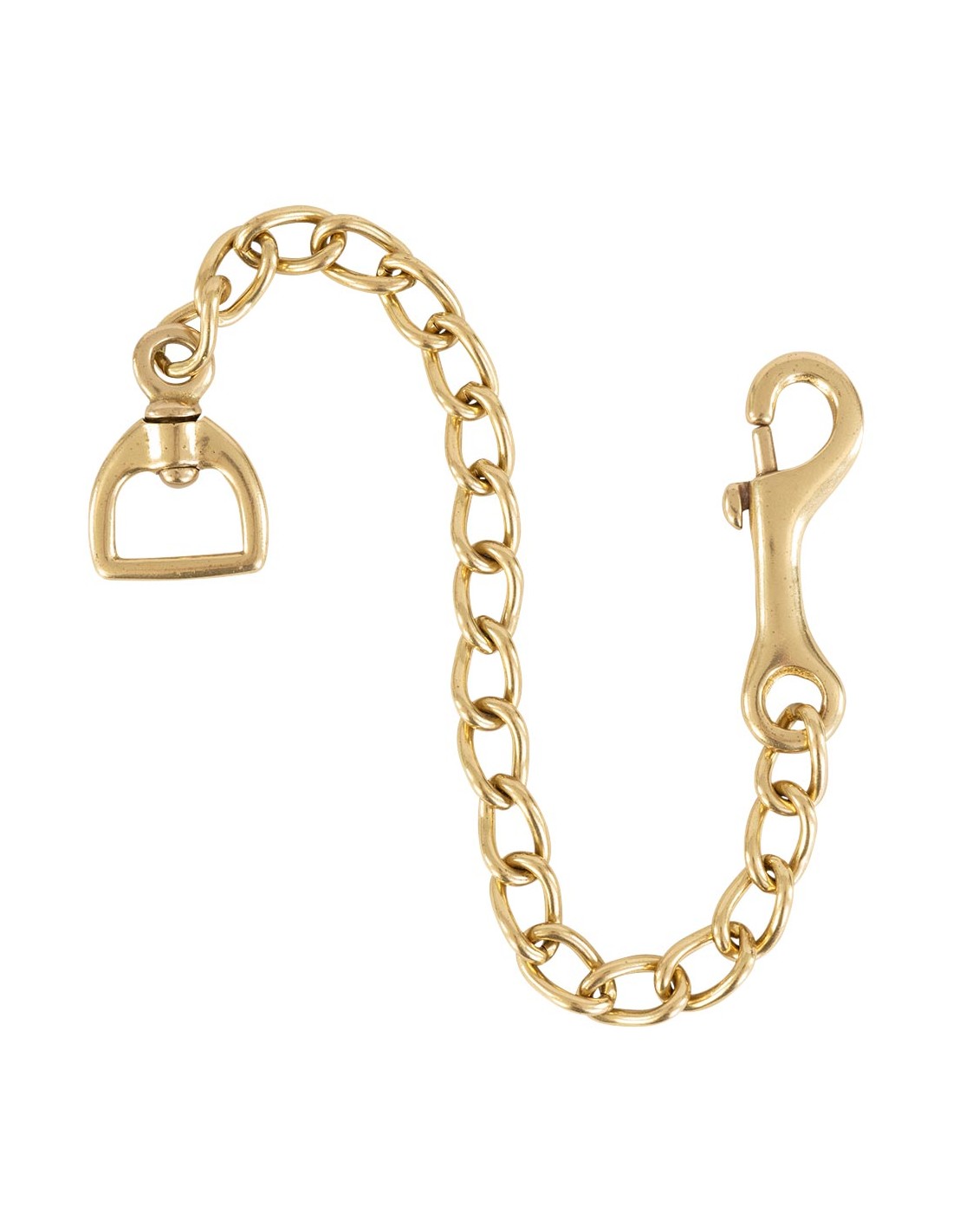 Gold chain with clasp on a white background