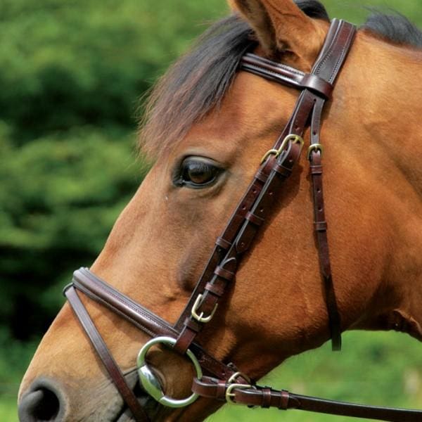 Boomerang Equestrian - Celtic Equine Comfort Bridle Black