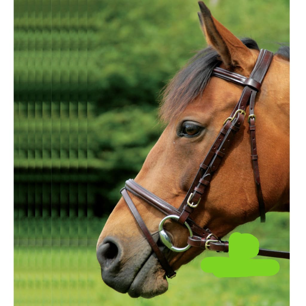 Boomerang Equestrian - Celtic Equine Comfort Bridle With Grackle Noseband Black/Brass