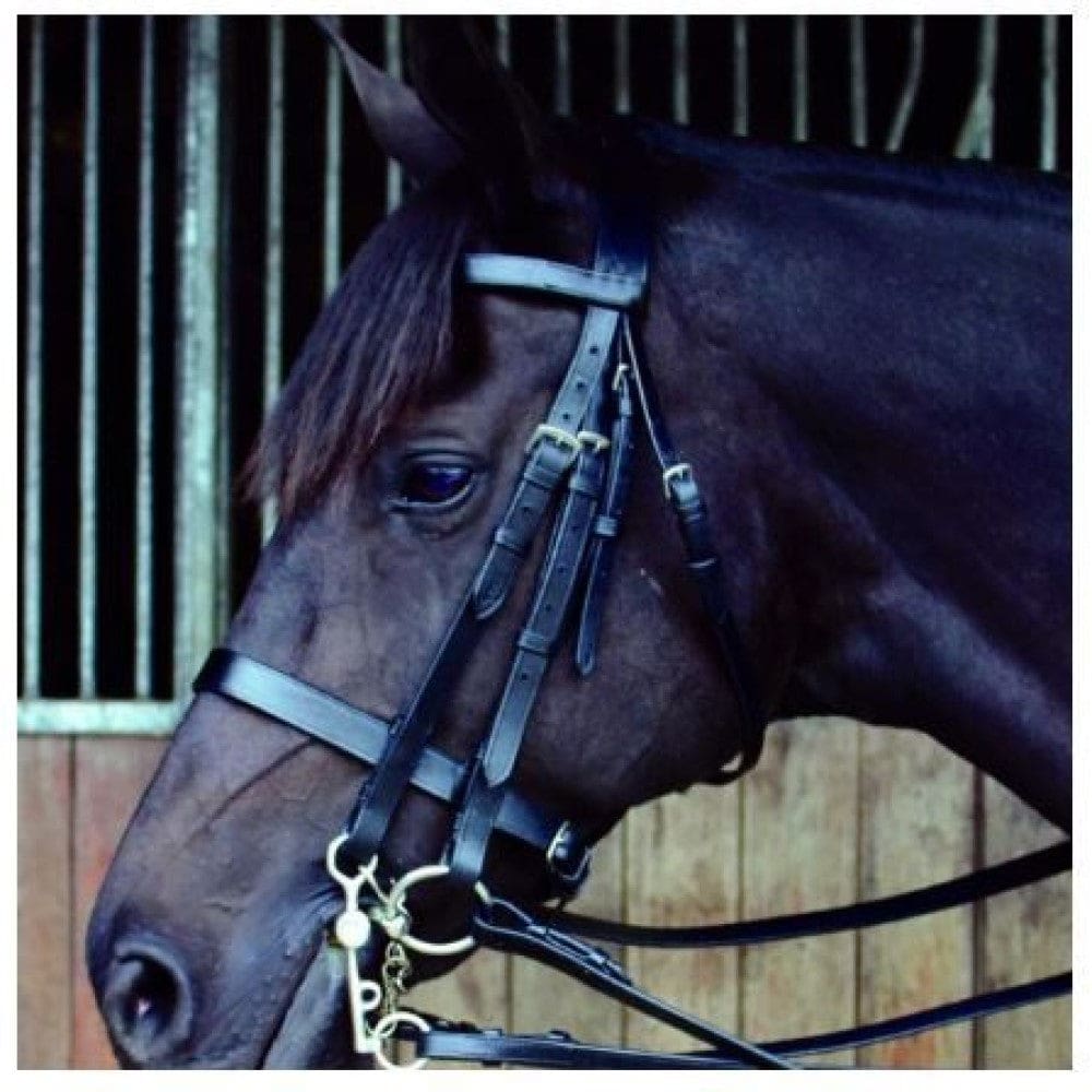 Boomerang Equestrian - Celtic Equine Double Bridle And Reins Brown