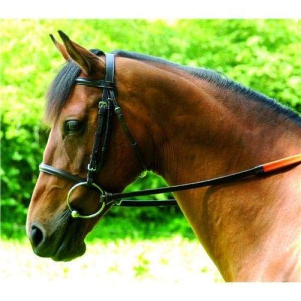 Boomerang Equestrian - Celtic Equine Race Bridle