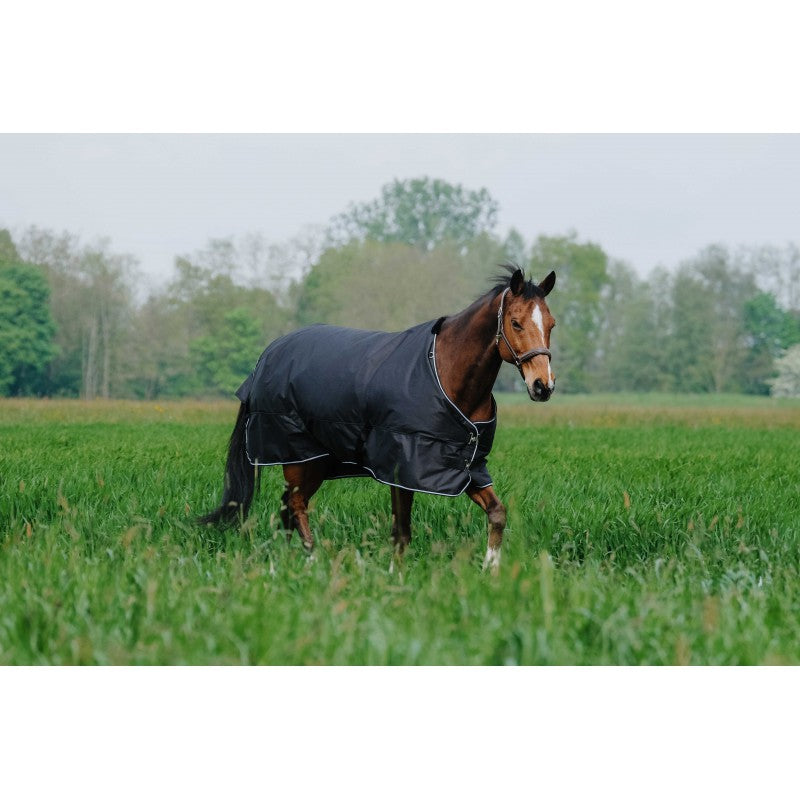 Horse wearing a black rug in a grassy field with trees in the background