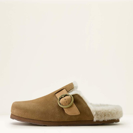 Brown suede shoe on a white background
