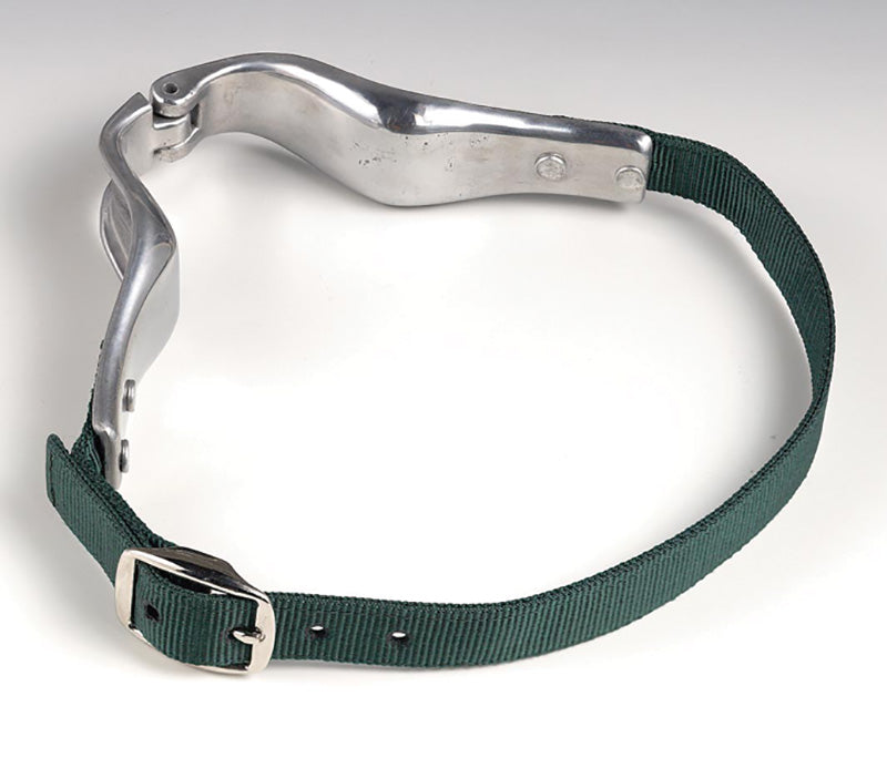 Horse cribbing collar on a white background
